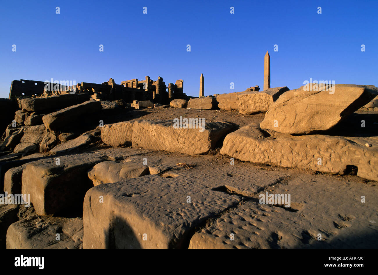 Obelisken Thutmosis I und Königin Hatsheput am Karnak-Tempel, Luxor, Ägypten. Stockfoto