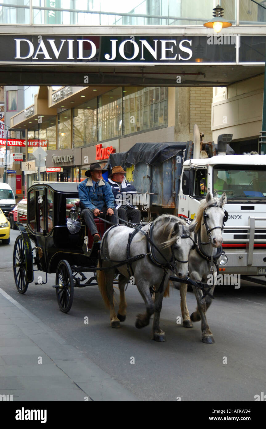 Pferdekutsche zwischen David Jones und Myers Kaufhäuser, Innenstadt von Melbourne Australien Stockfoto