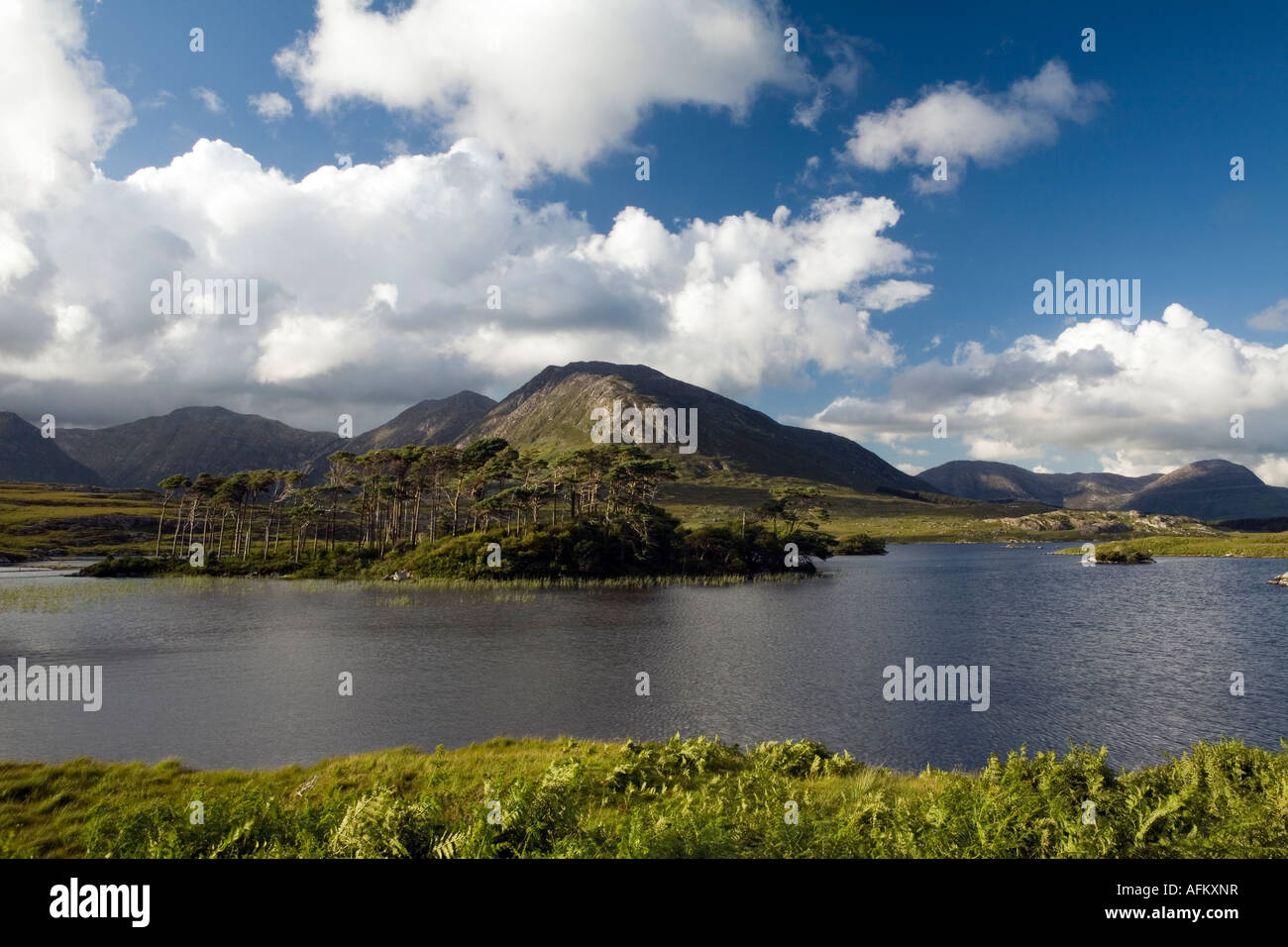 Derryclare Lough Connemara County Galway Irland Stockfoto