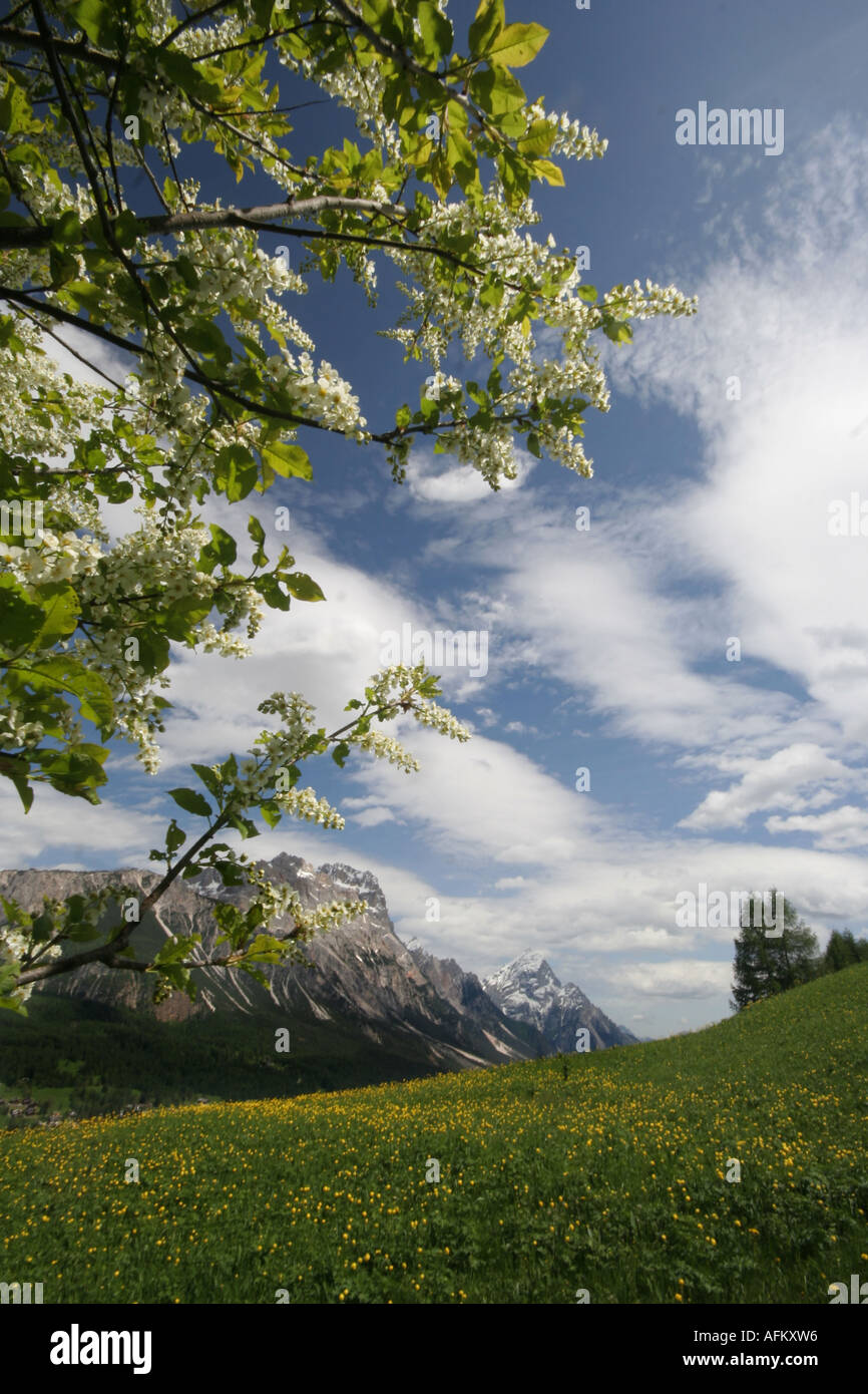 Italien - Dolomiten in der Nähe von Cortina D'amprezzo Stockfoto