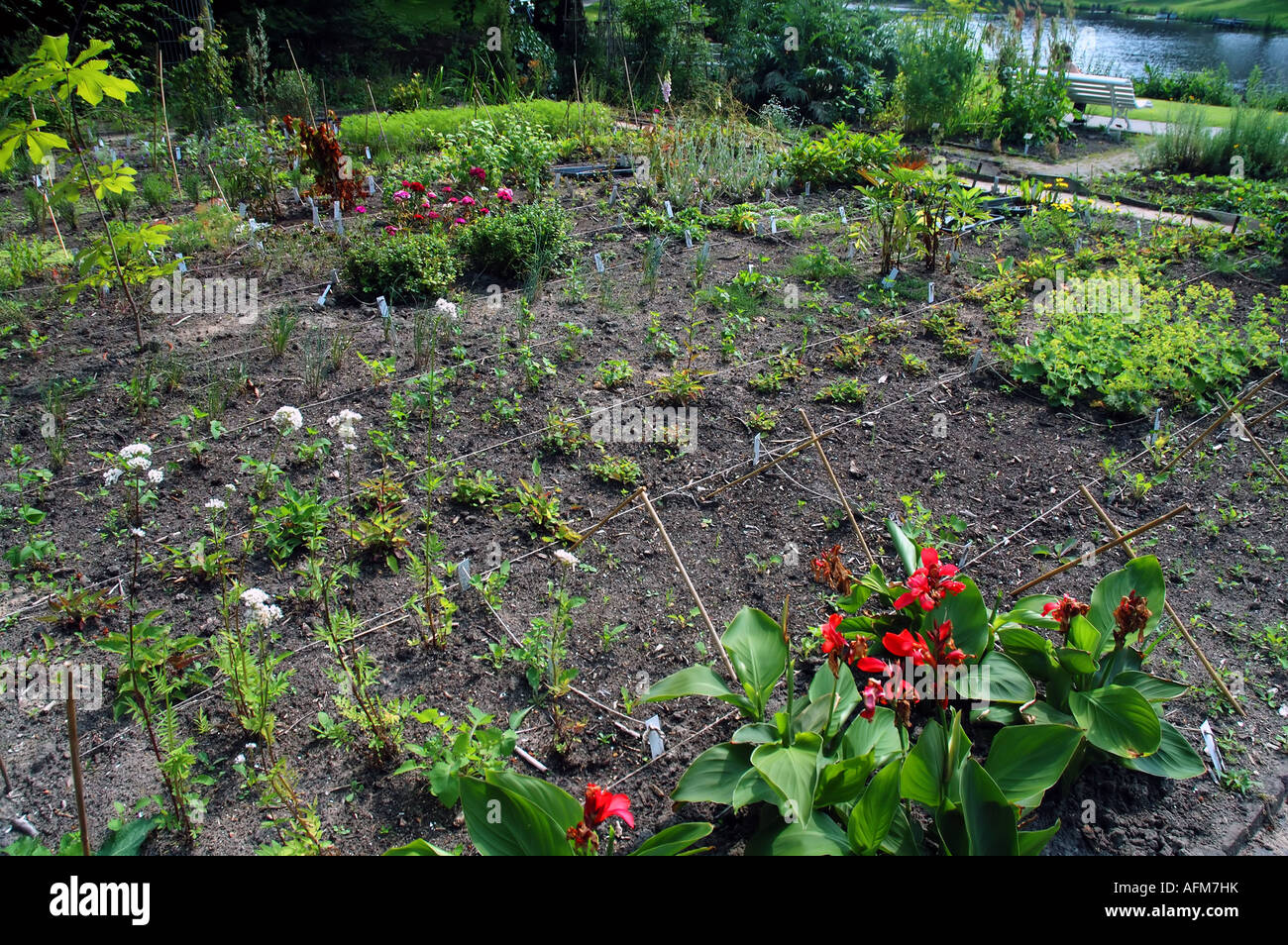 Erholung der Kräuter Garten von Carl Linnaeus im Hortus Botanicus in Leiden Niederlande Stockfoto