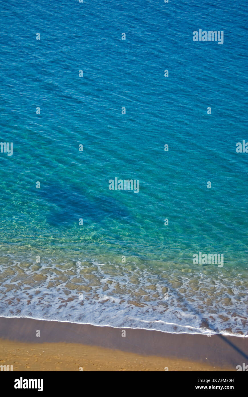 Maui Hawaii Insel Palm Tree Sand Surfstrand Stockfoto