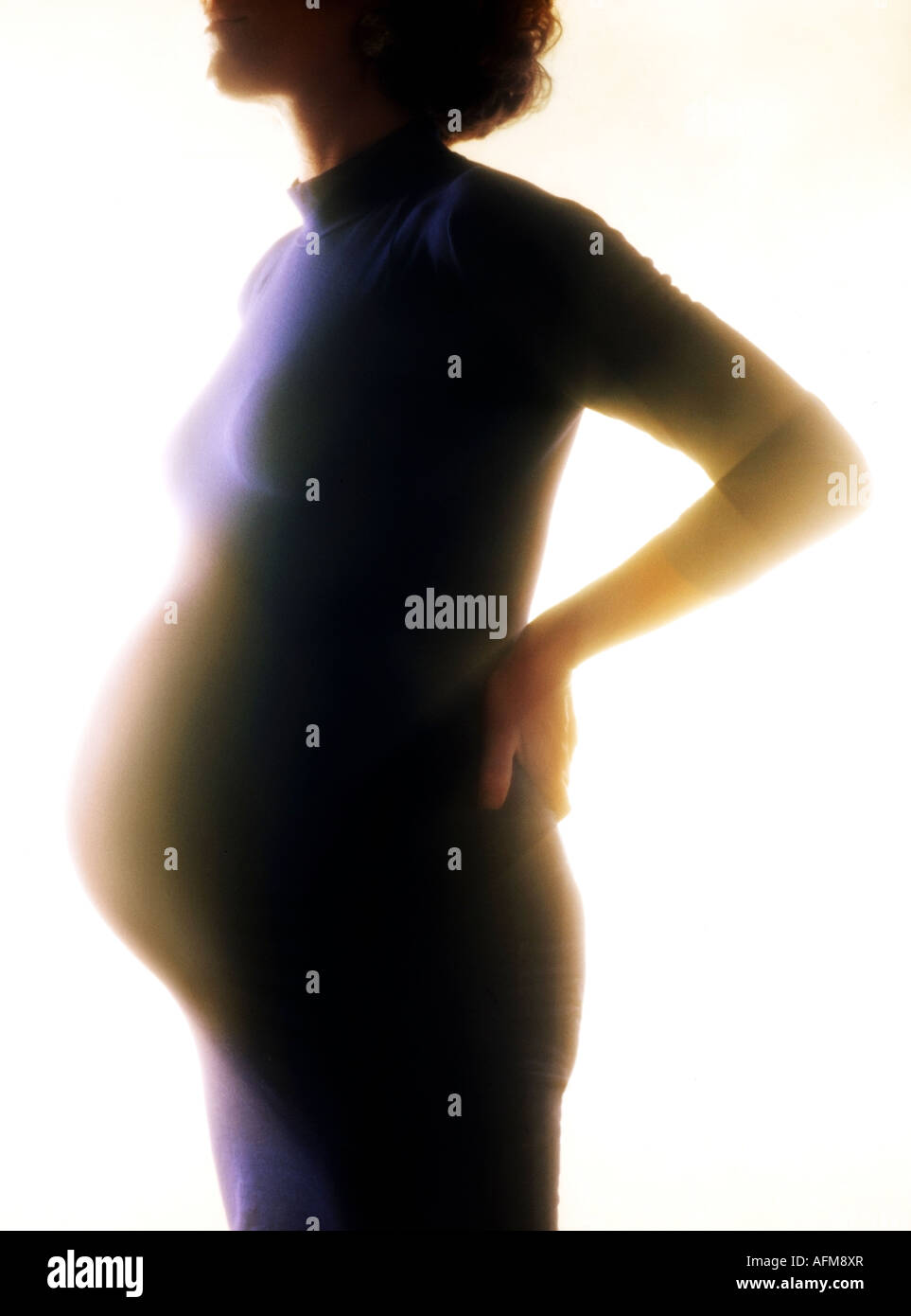 Schwangerschaft Stockfoto