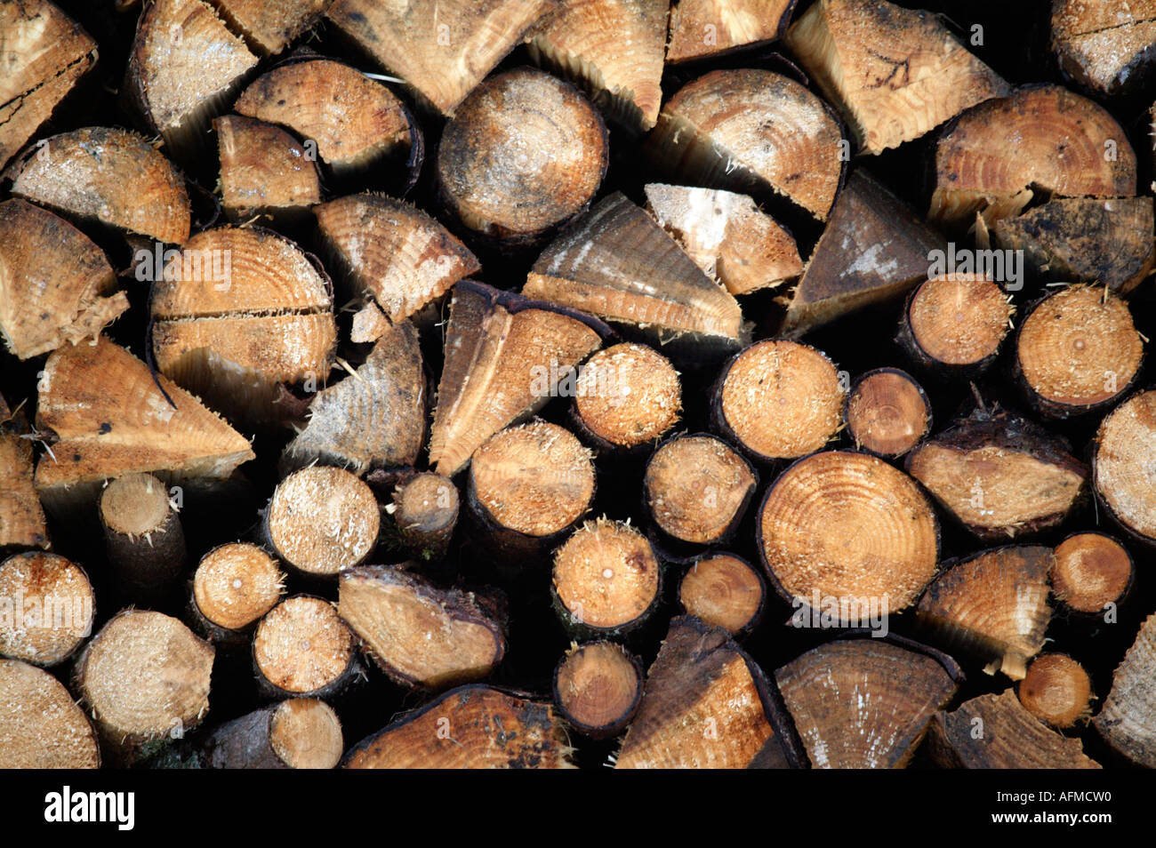 Protokoll-Stapel, Morzine, Alpen, Frankreich Stockfoto