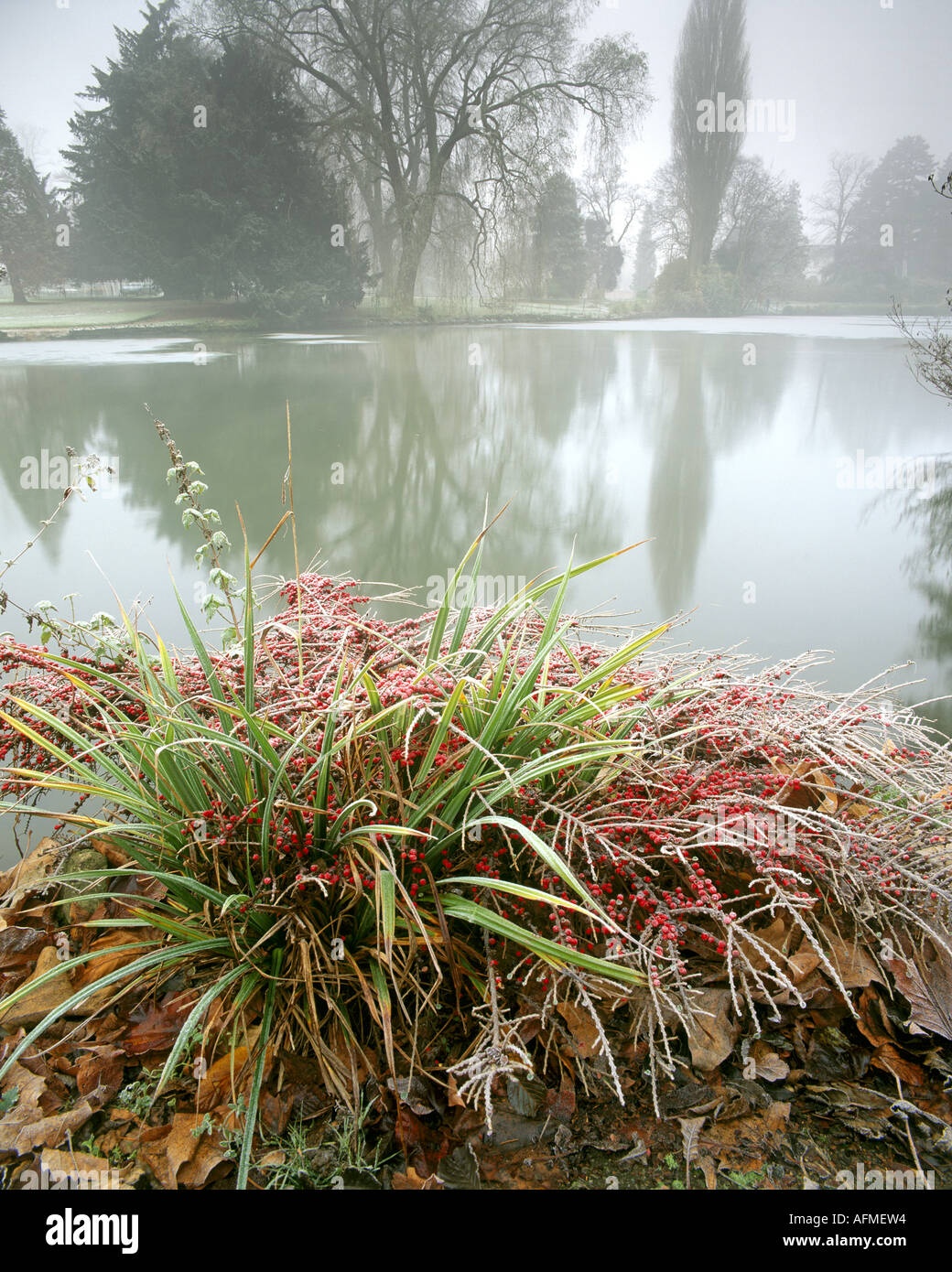 GB - GLOUCESTERSHIRE: Herbst in Cheltenham Pittville Park Stockfoto