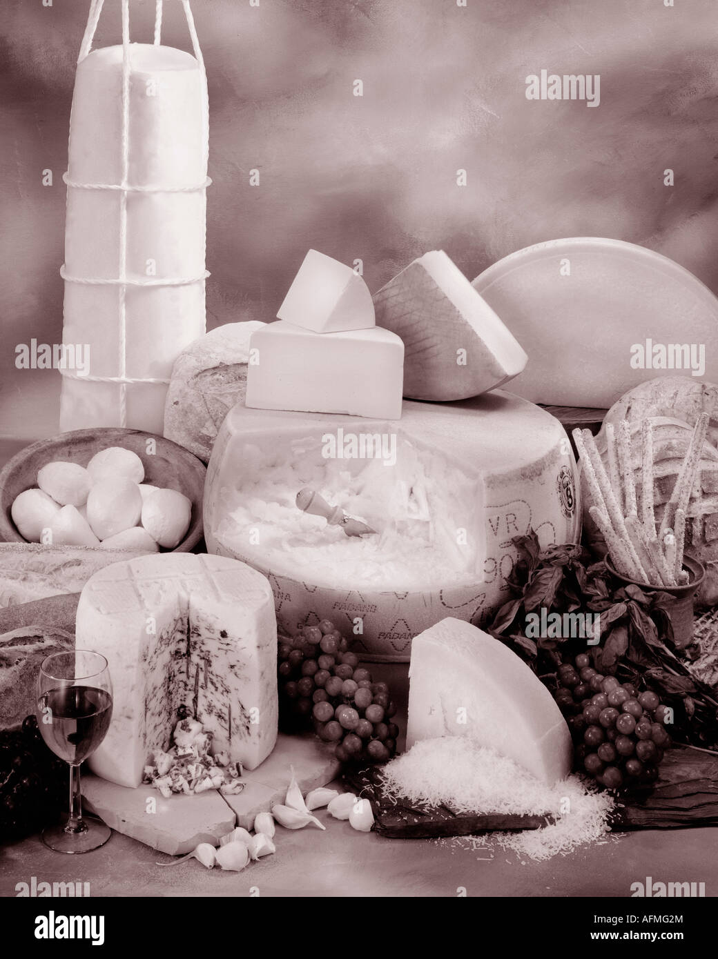 Italienische Käsesorten in Sepia von Gruppenfoto auf Warm getönten gesprenkelte Hintergrund. Hochformat, Studio Tischplatte. Klassisches Bild. Stockfoto