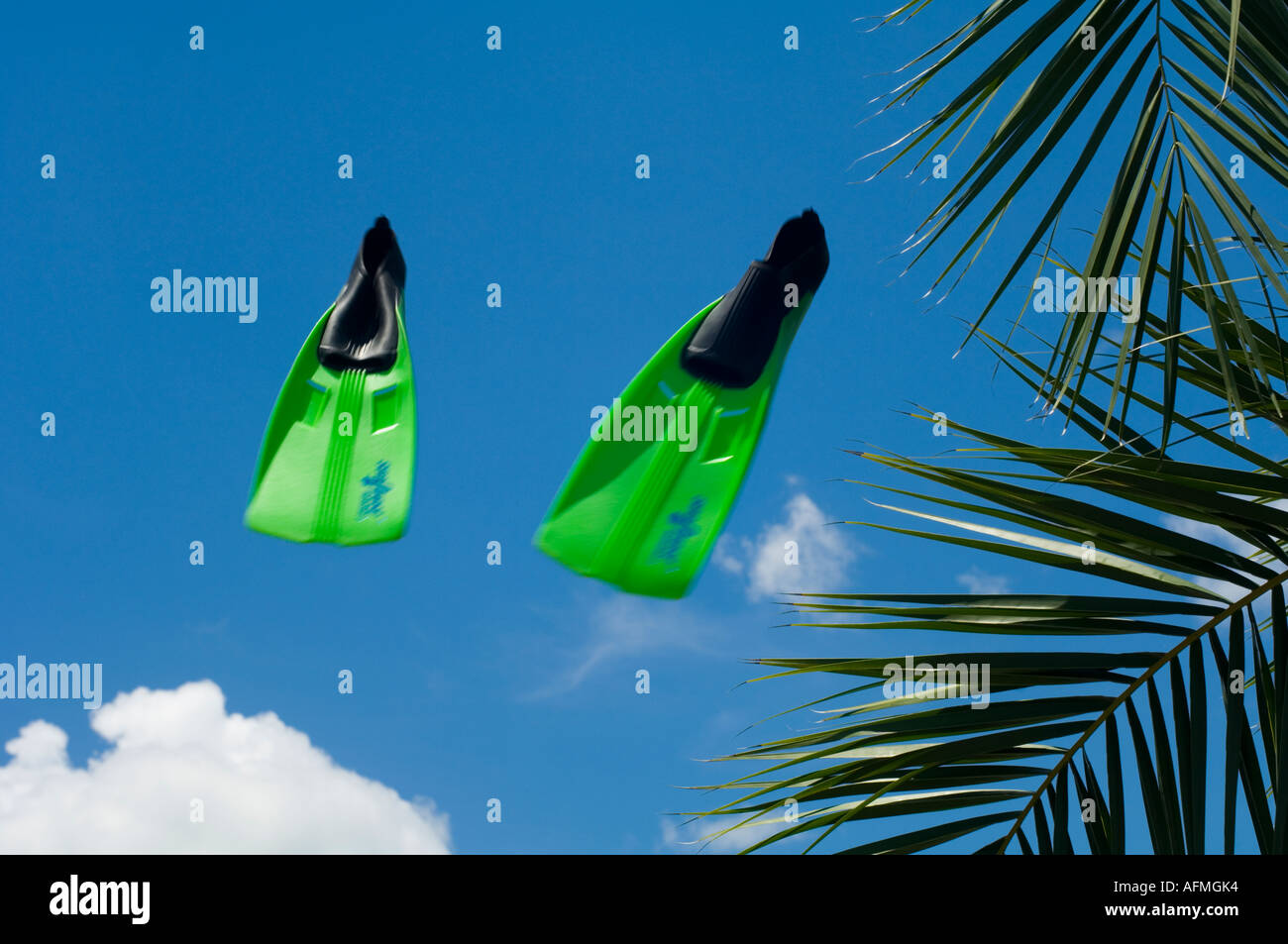 Schwimmen Sie flossen geworfen in die Luft in der Nähe von einer tropischen Palme in Vorbereitung zum Schwimmen Stockfoto