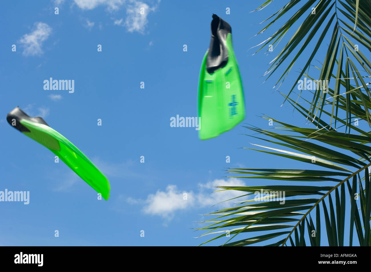 Schwimmen Sie flossen geworfen in die Luft in der Nähe von einer tropischen Palme in Vorbereitung zum Schwimmen Stockfoto
