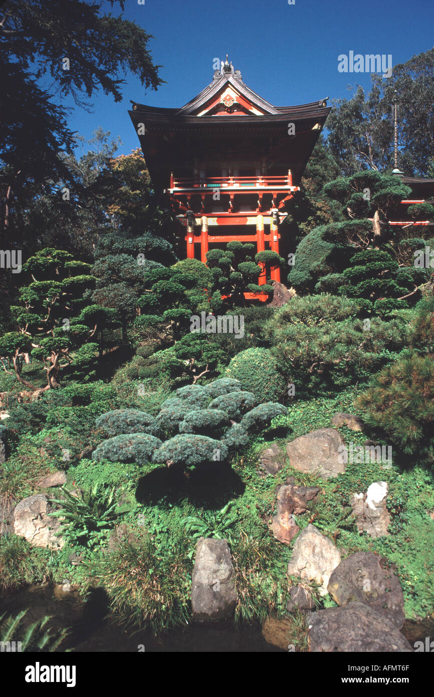 9214 Zwerg Baum Sammlung am Wasserfall Hill japanische Teegarten Golden Gate Park San Francisco Kalifornien USA Pflanzen als Stockfoto