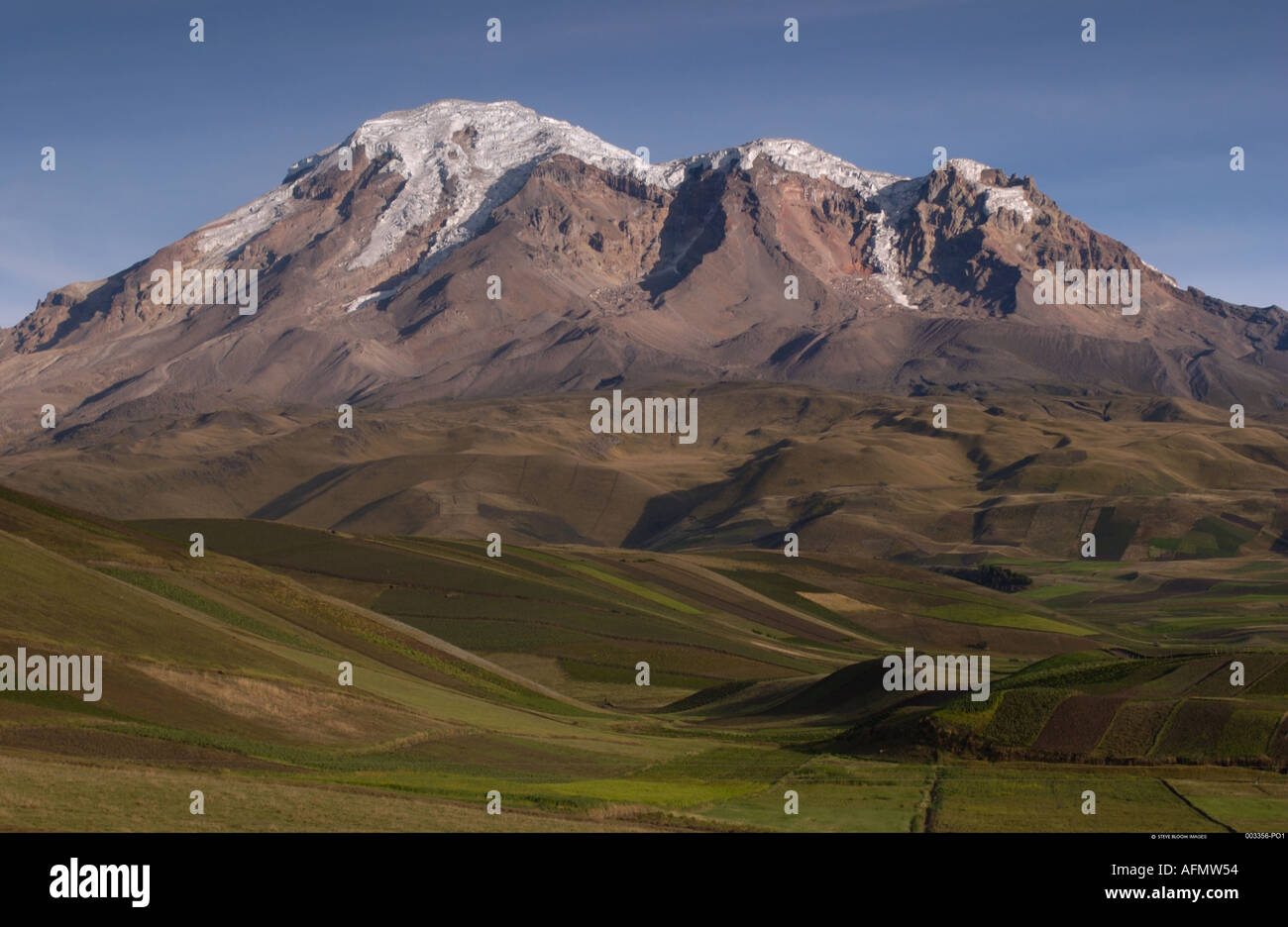 Berg Chimborazo 6310m inaktive Vulkan höchste Berg in Ecuador Chimborazo Reserve Anden Ecuador S Amerika Stockfoto