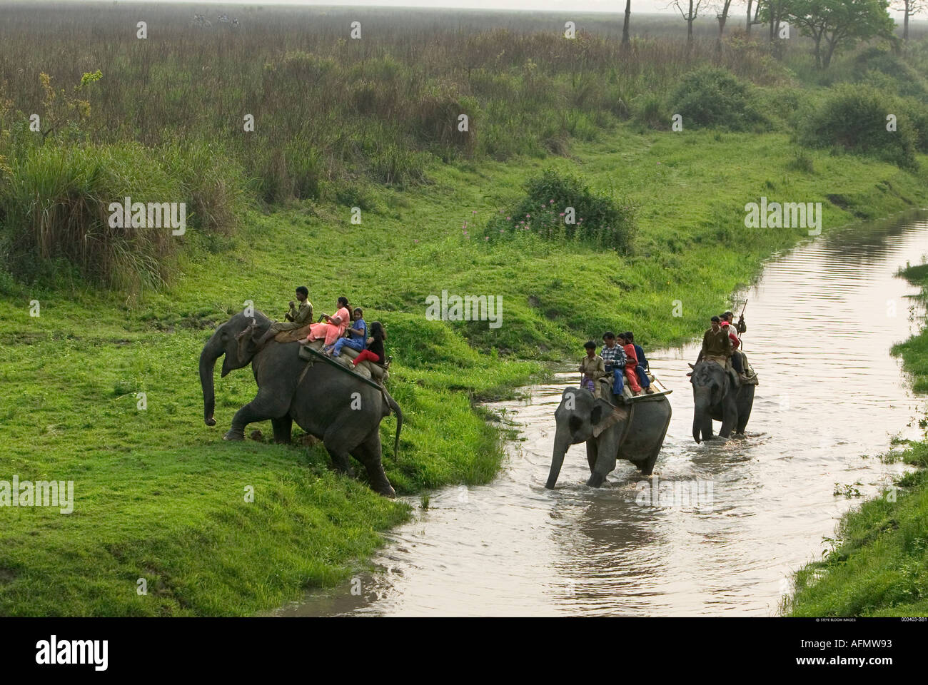 Gruppe von Menschen, die einen Fluss überquert, auf Elefanten zurück Indien Stockfoto