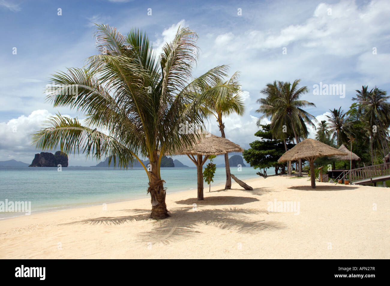 Sonnenschirme und Palmen auf Ko Ngai (Ko Hai) Insel, Thailand, Südostasien Stockfoto