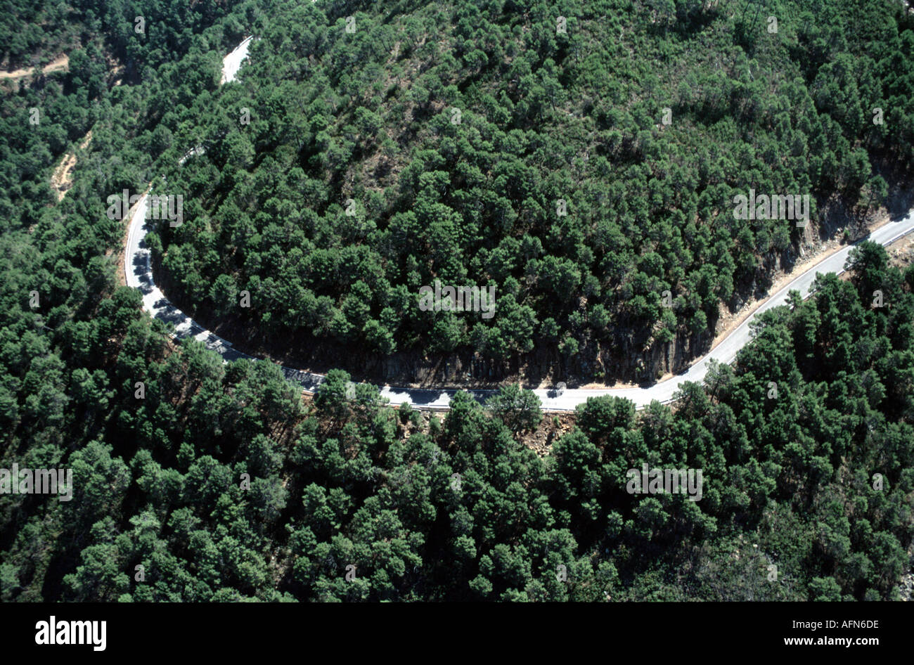 Aerial view of empty road through forest Stockfoto