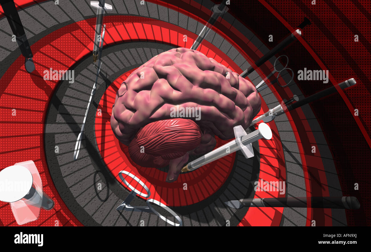 Menschliche Gehirn auf einer Dartscheibe Stockfoto