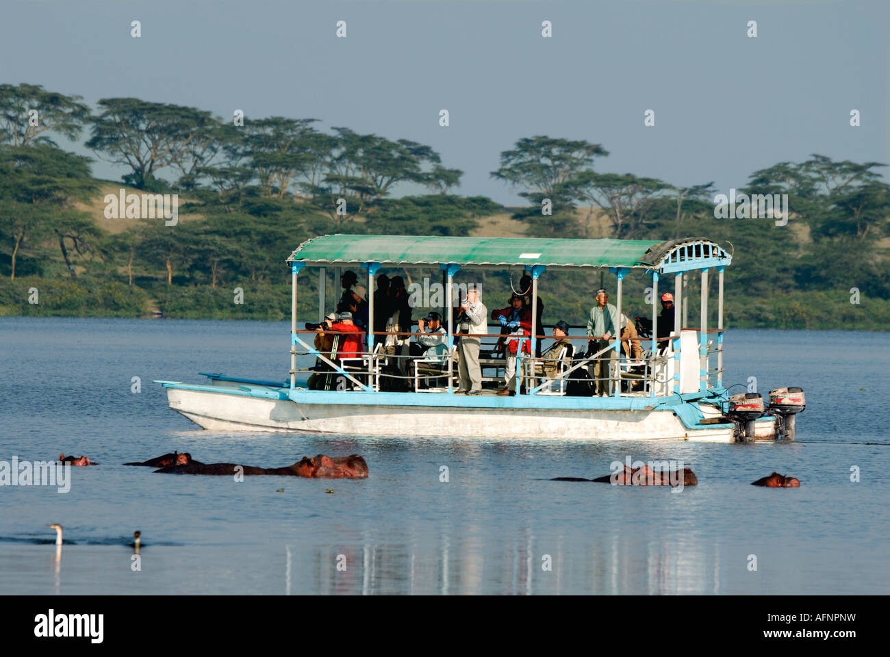 Motorboot in der Nähe von Hippos am Lake Naivasha Kenia in Ostafrika Stockfoto