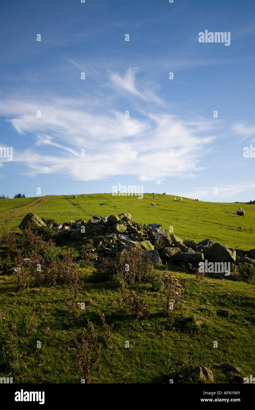 Waliser Hügel im Sommer Stockfoto