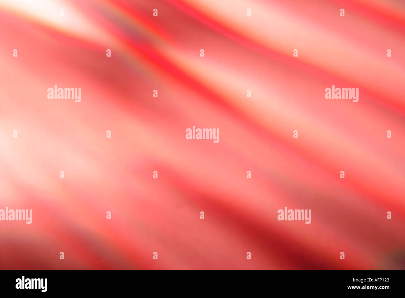 roten abstrakten Hintergrund Stockfoto