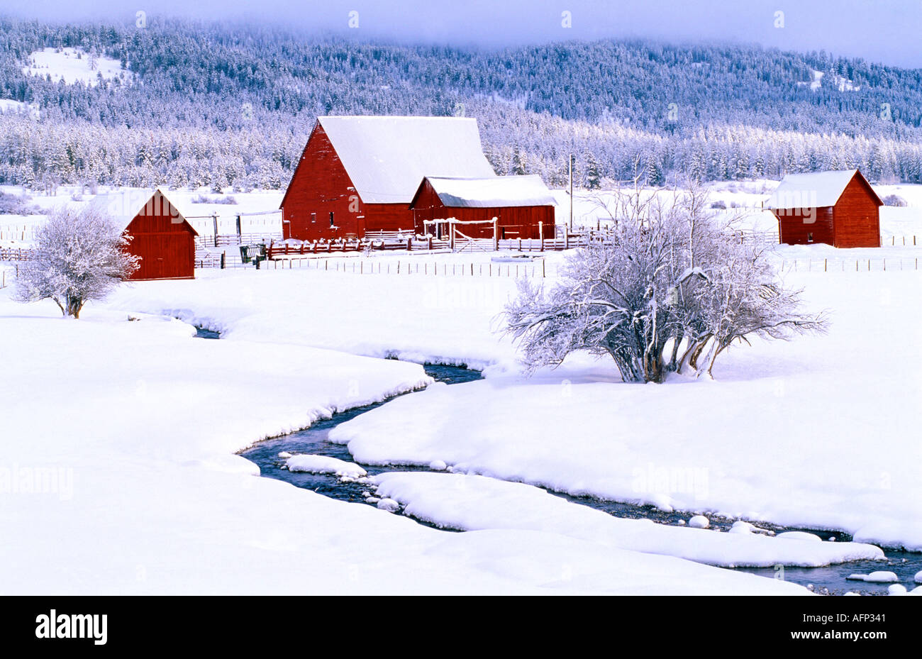 USA-Idaho-Winter-Szene der Ranch mit roten Scheunen fallenden Neuschnee, umgeben von bewaldeten Bergen in der Nähe von Resort Stadt von McCall Stockfoto