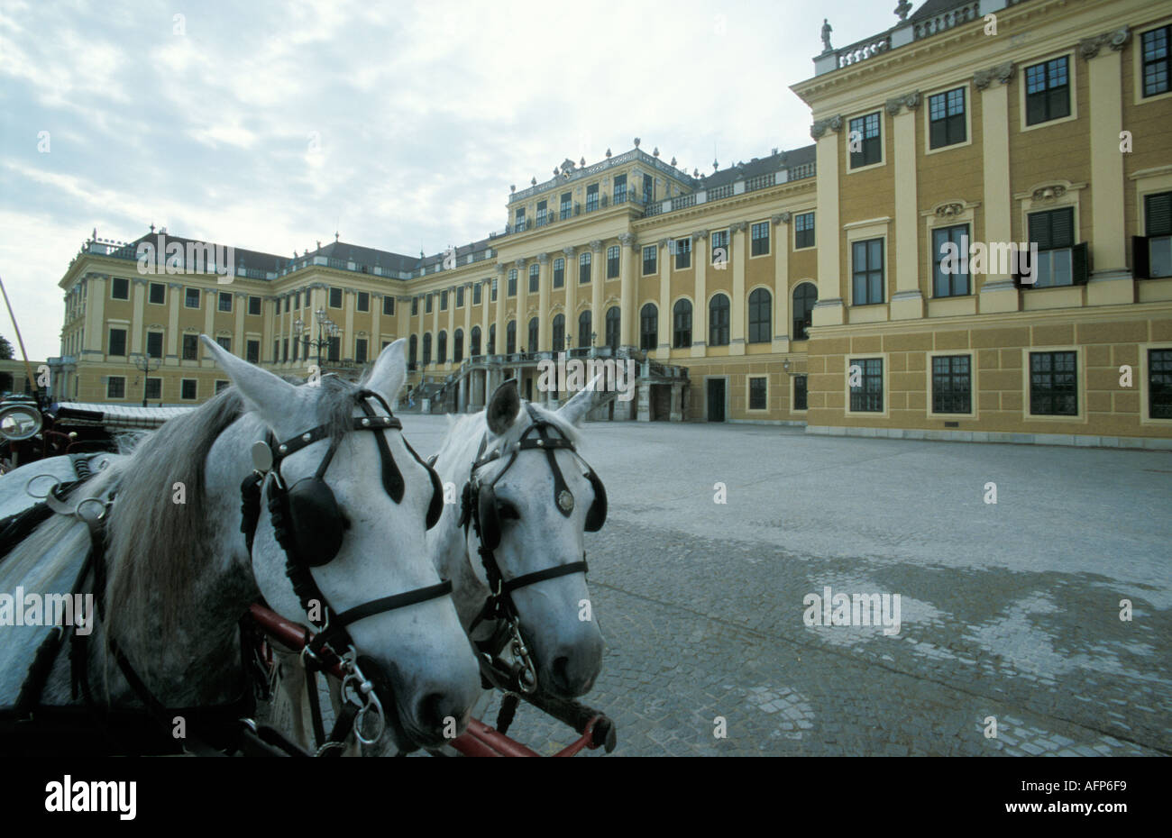 Schloss Schönbrunn Vienna Stockfoto