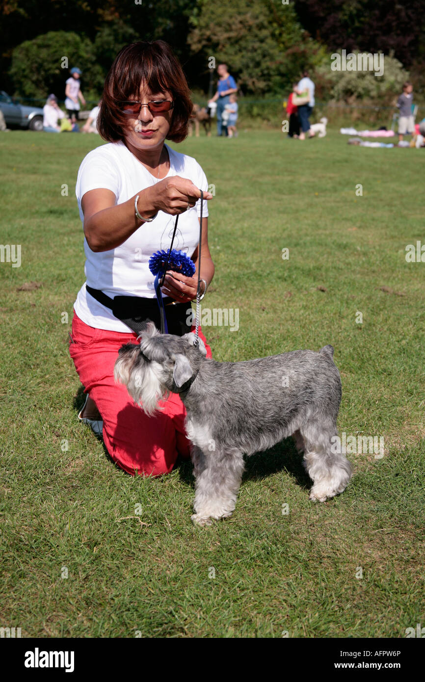 Die Besitzerin zeigt ihren 2. Platz Miniaturschnauzer (Canis lupus familiaris) auf der Outdoor Village Dog Show Stockfoto