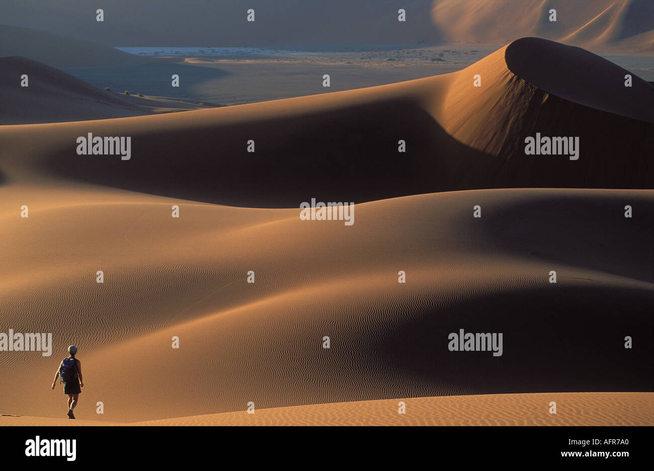 Frau Trekker auf Dünen Namib Wüste Namibia Modell veröffentlicht Stockfoto