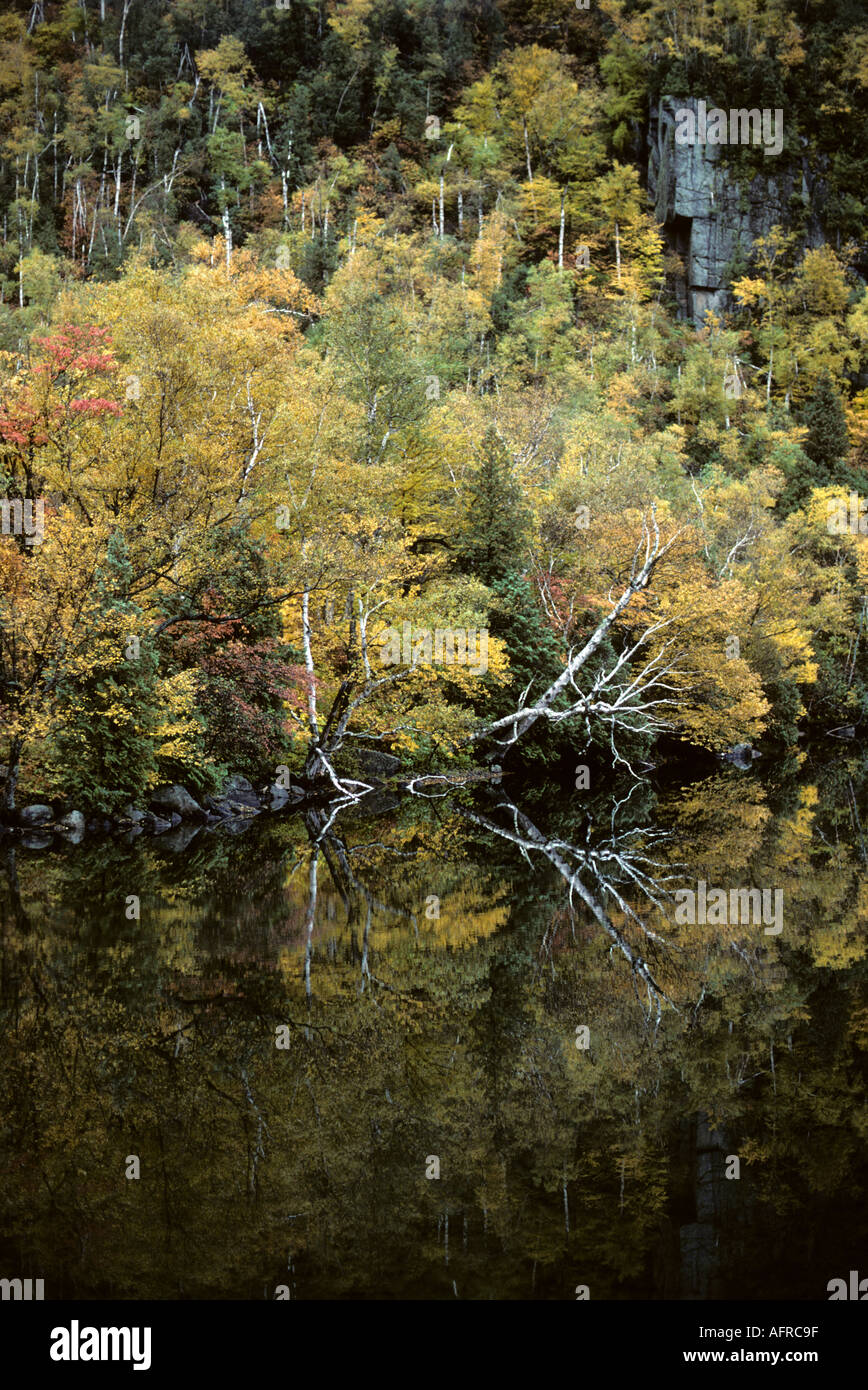 Herbstfärbung spiegelt sich im See Adirondaks Upper New York State, USA Stockfoto