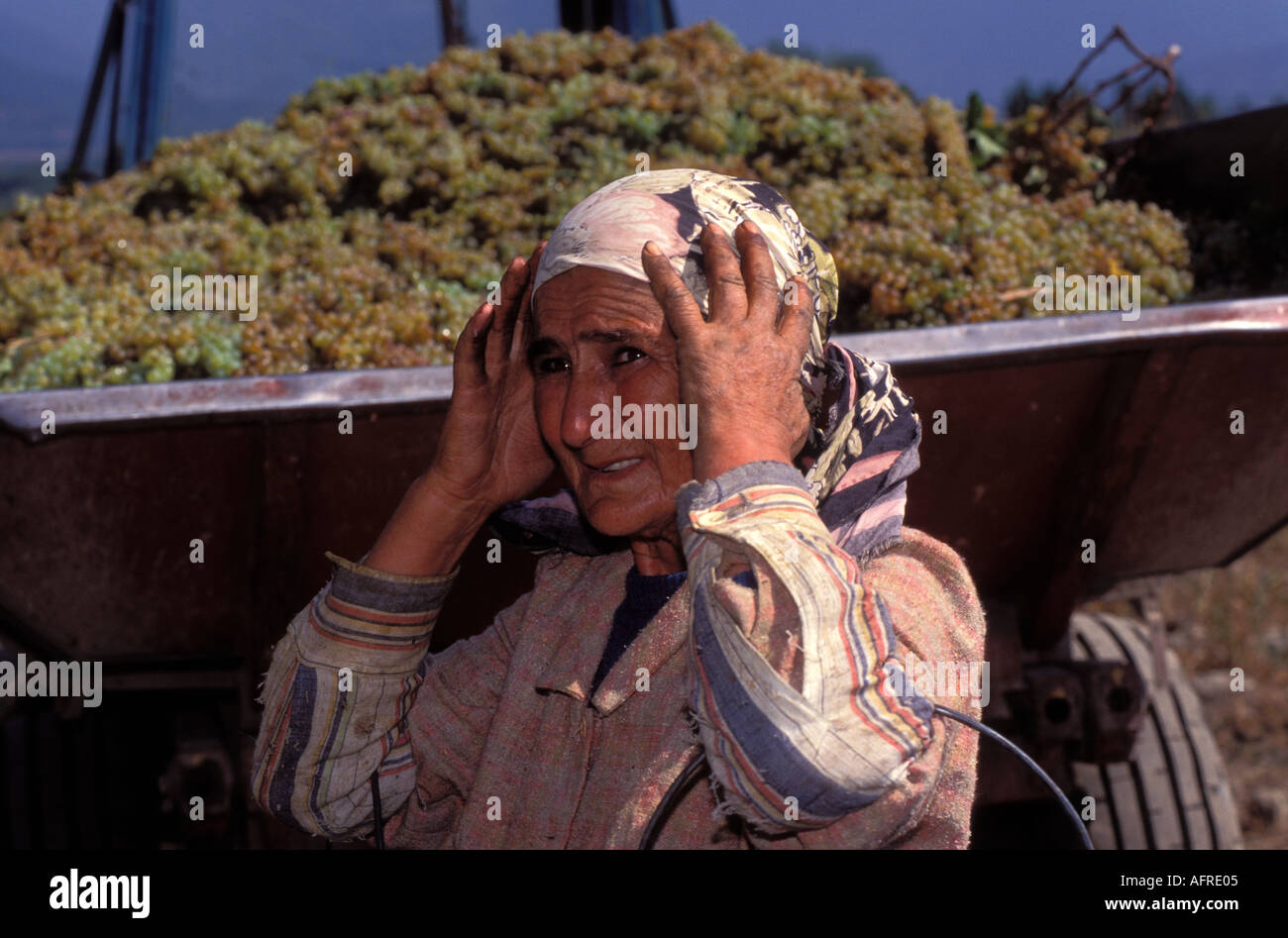 Georgische Bäuerin in der Provinz Kacheti, einer Weinregion Georgiens, ehemalige UdSSR. Stockfoto