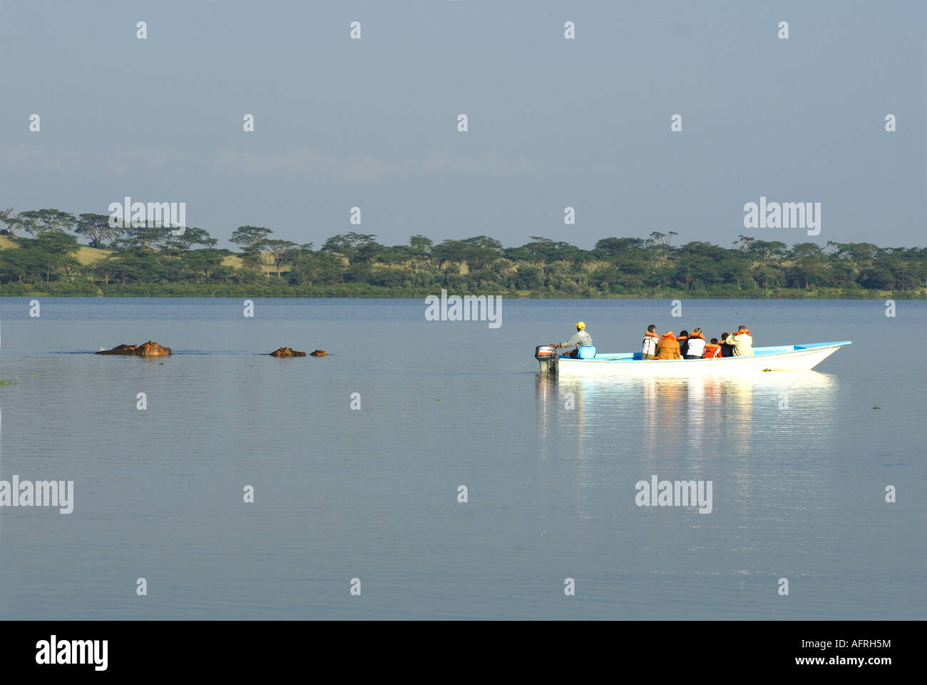 Motorboot in der Nähe von Hippos am Lake Naivasha Kenia in Ostafrika Stockfoto