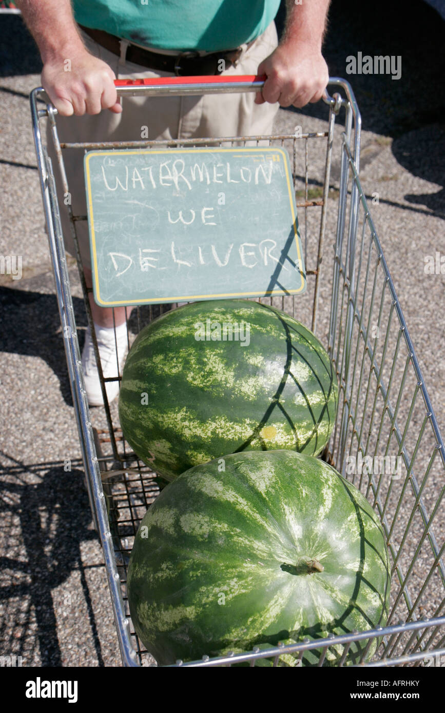 Indiana Marshall County, Plymouth, Bauernmarkt, Wassermelone, Shopping Shopper Shopper Shopper Shop Shops Markt Märkte Marktplatz Kauf Verkauf, Einzelhandelsgeschäft Stockfoto