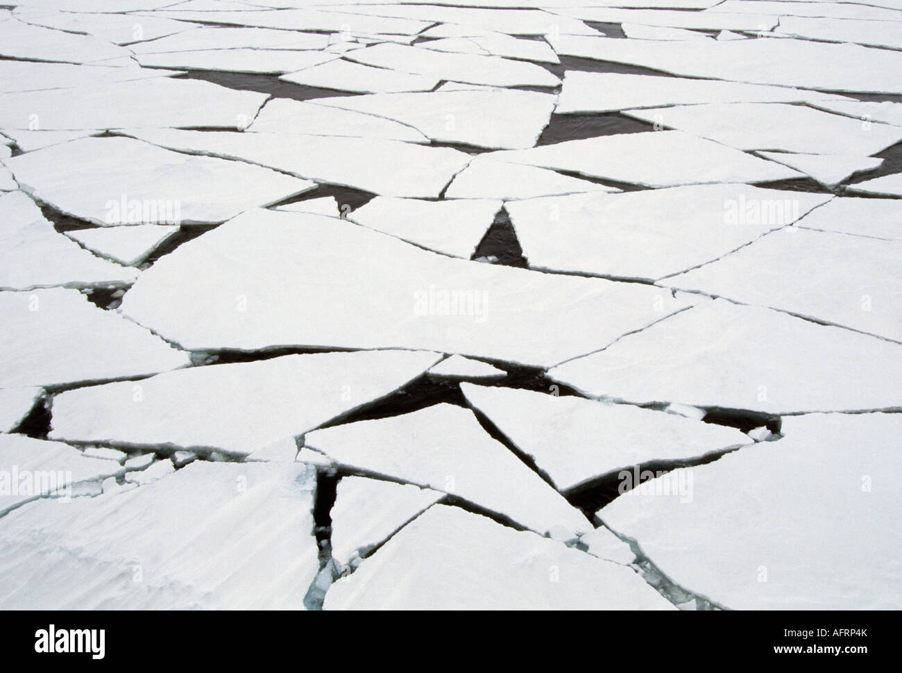 Nordpolarmeer, Packeis aufbrechen Stockfoto