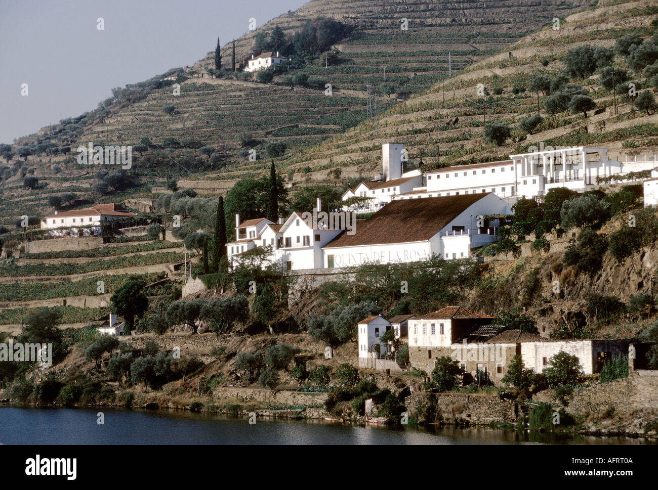 Quinta de la Rosa, Familienbesitz Bergquist. Portweinerzeugung im oberen Bereich des Douro-Tals. Der Fluss Doura in der Nähe von Pinhao. HOMER SYKES aus den 1989 1980er Jahren Stockfoto
