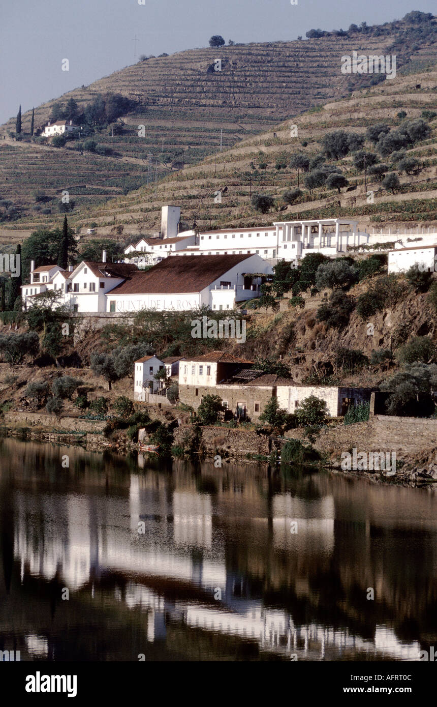Quinta de la Rosa, Familienbesitz Bergquist. Portweinerzeugung im oberen Bereich des Douro-Tals. Der Fluss Doura in der Nähe von Pinhao. HOMER SYKES aus den 1989 1980er Jahren Stockfoto