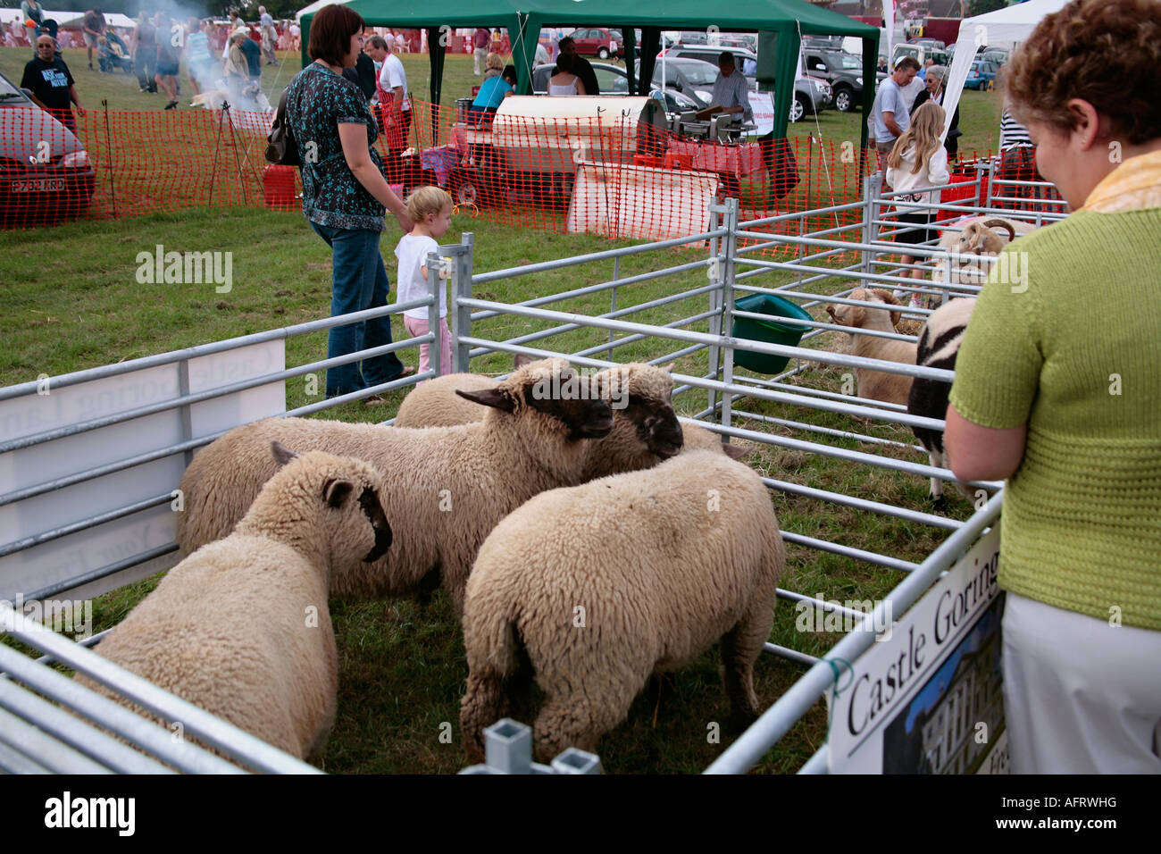 Schafscheunen auf der jährlichen Findon Schafe Fair Stockfoto