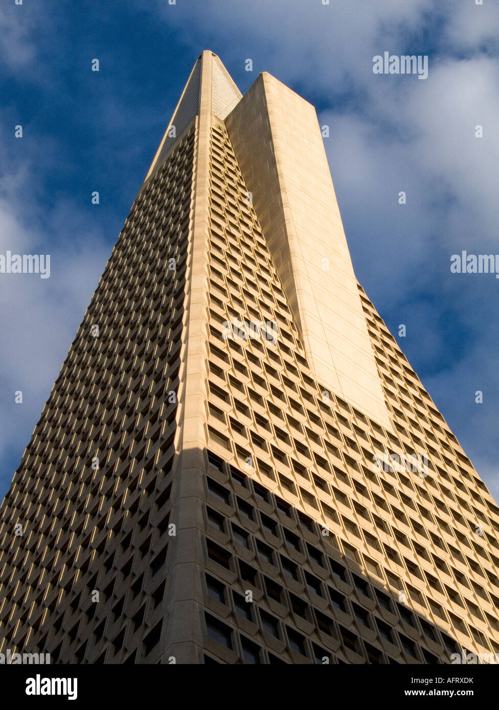 Transamerica Pyramide (1969-1972). San Francisco Financial District. In San Francisco. California State. USA Stockfoto