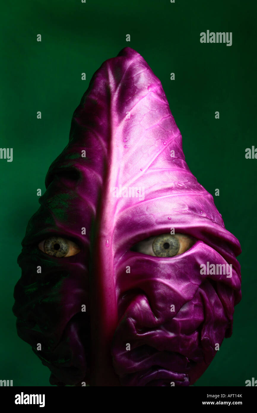 Surreale Alien Rotkohl Gesicht. Stockfoto