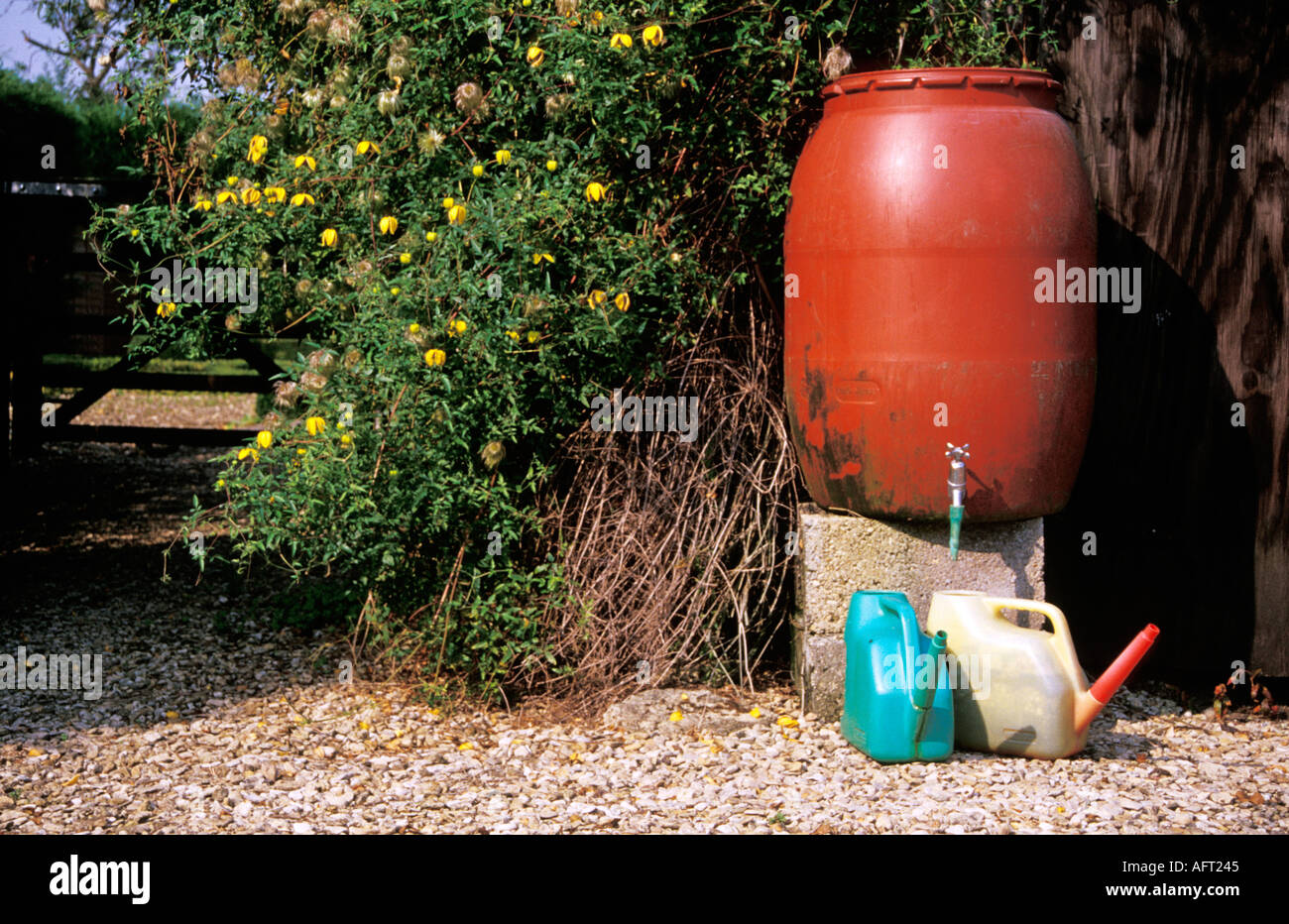 Regen Sie Wasser Wanne und Bewässerung Dosen in einer englischen Country Garden Wiltshire England Sommer 2004 Stockfoto