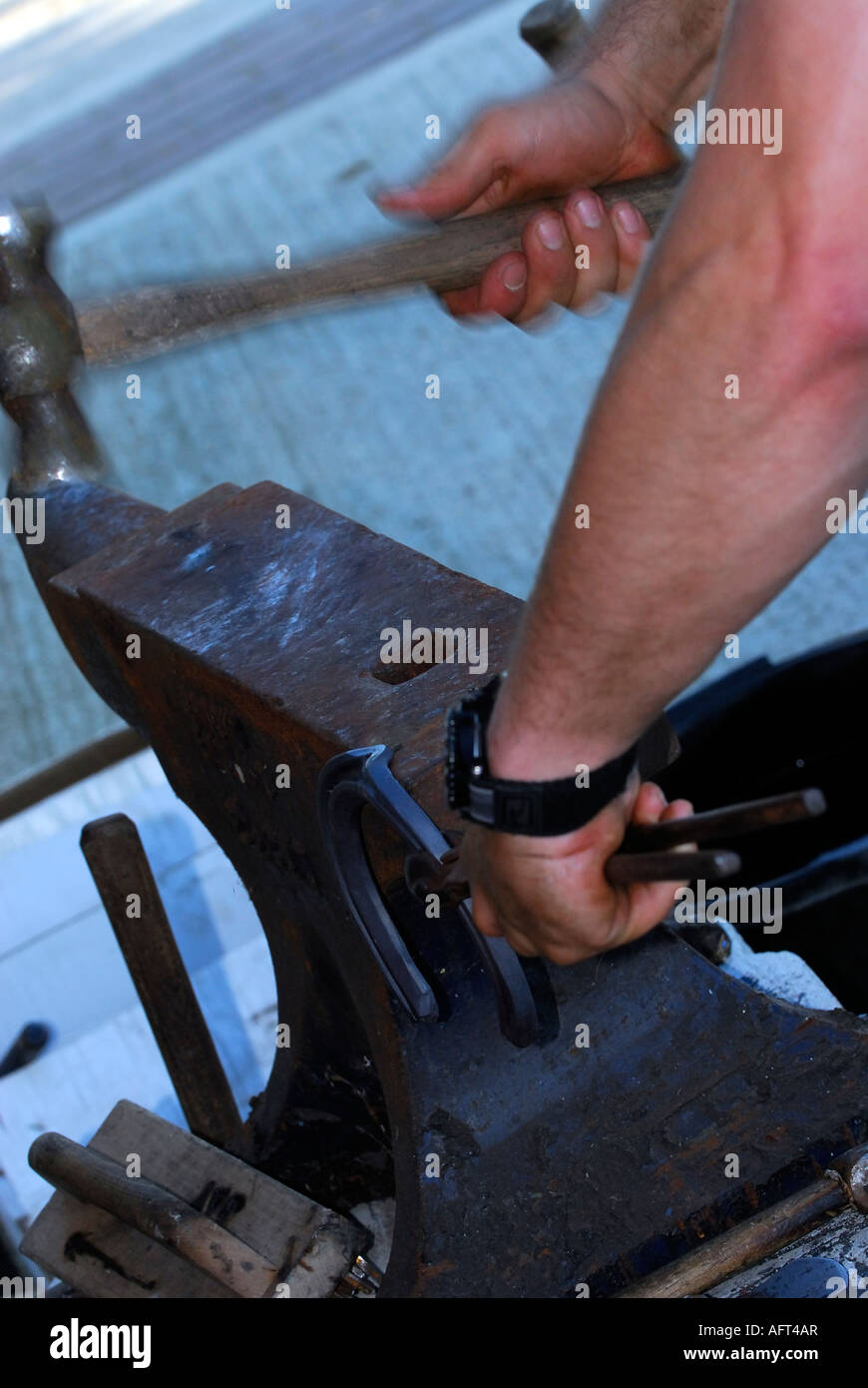 ein Schmied Hufschmied mit Hammer und Amboss, Hufeisen für den Einbau einer Stute oder Hengst oder Pony in einem Stall zu gestalten Stockfoto