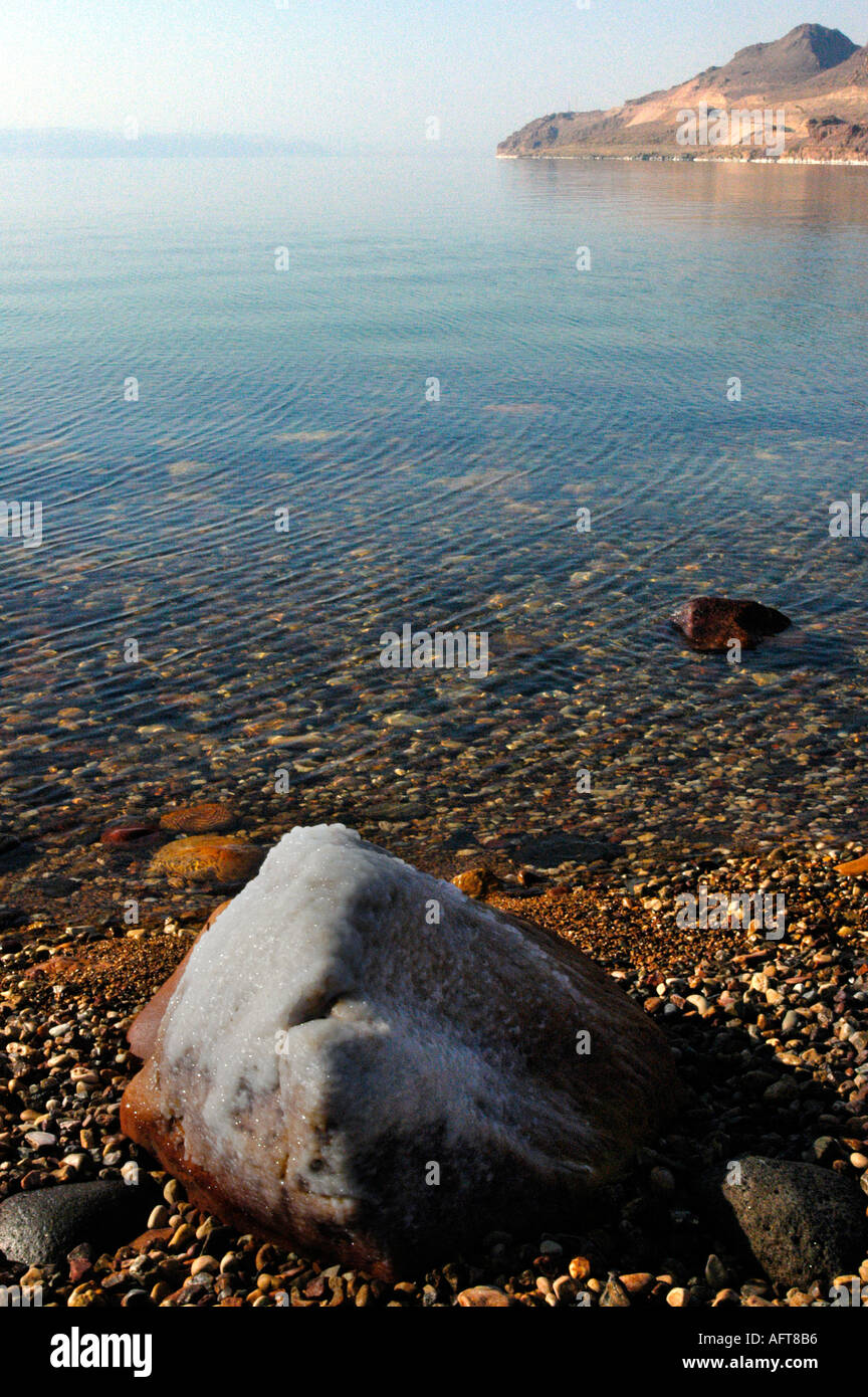 Ein Salz verkrusteten Rock am südlichen Ufer des Toten Meeres in Jordanien Stockfoto