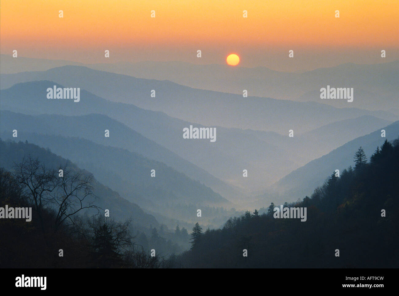 Sunrise Great Smoky Mountains National Park USA, von Bill Lea/Dembinsky Foto Assoc Stockfoto