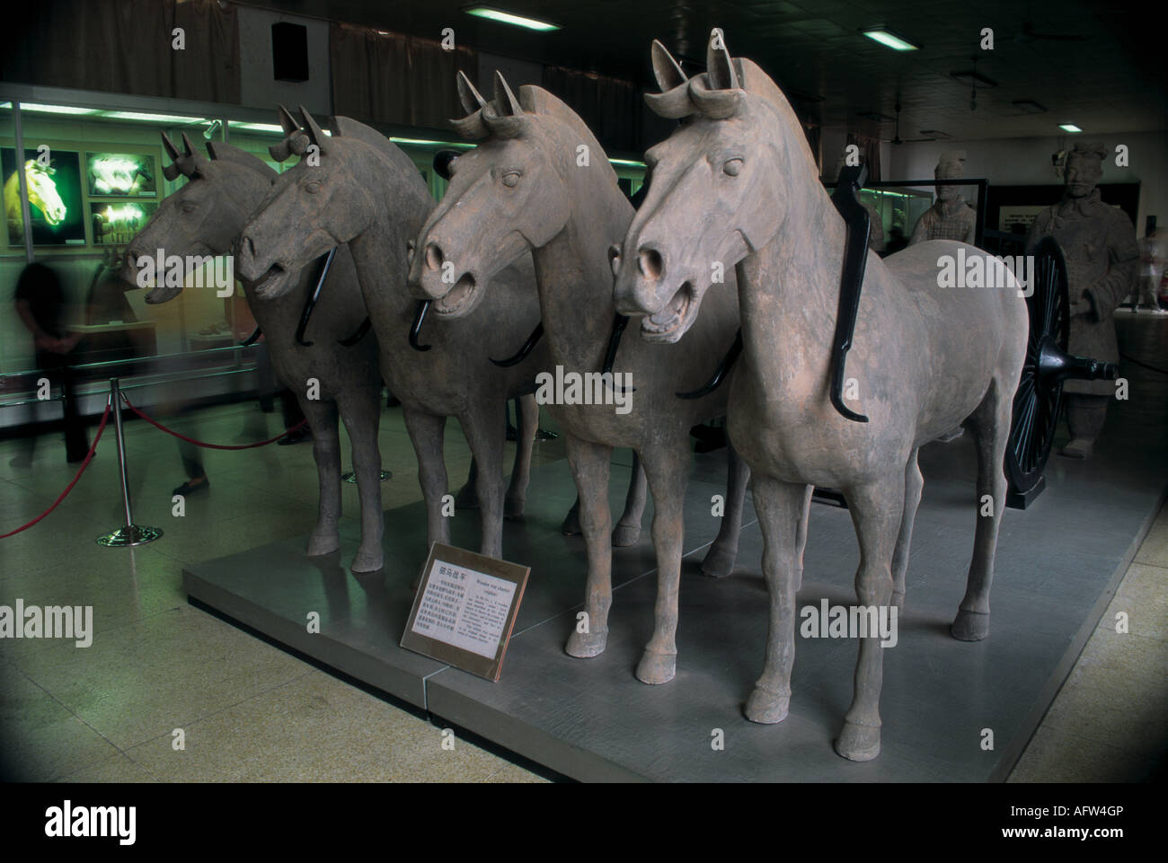 Terrakotta-Krieger und Pferde des Kaisers Qin Shihuang in Xi Shaanxi Provinz in China Stockfoto