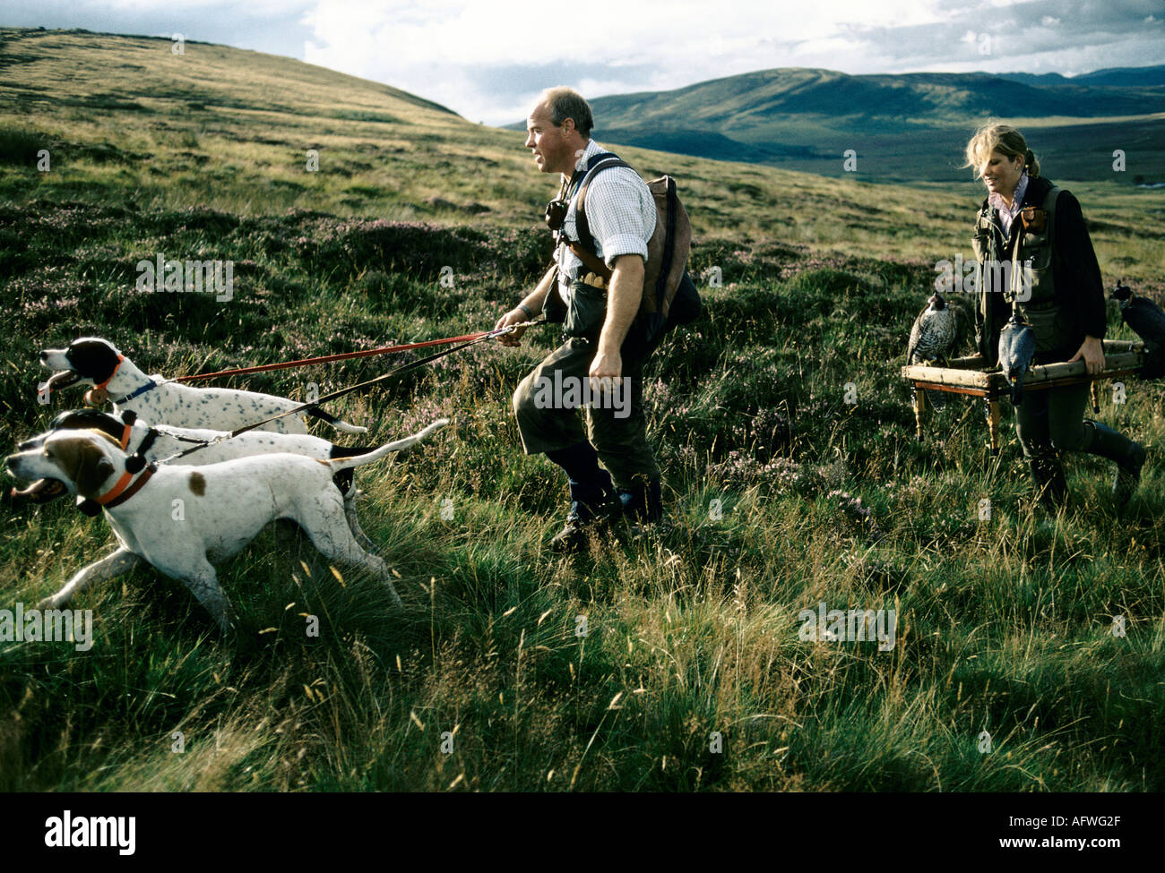 Emma Ford und Steve Ford von der British School of Falknerry in Gleneagles Scotland mit Harris Hawk Birds of Prey. 1990ER 1997 UK HOMER SYKES Stockfoto