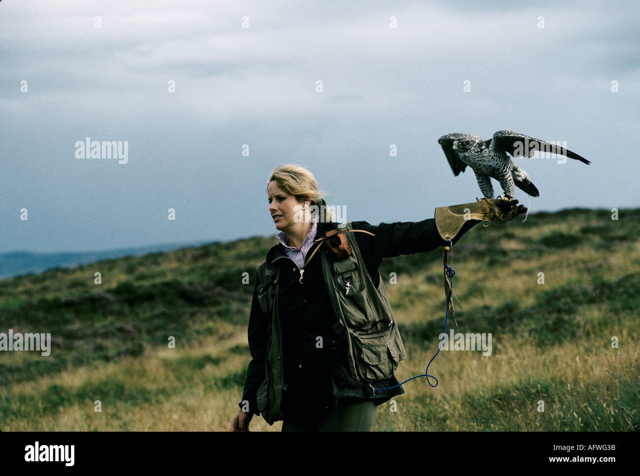Emma Ford von der British School of Falconry in Gleneagles Scotland mit Harris Hawk Birds of Prey. 1990S UK HOMER SYKES Stockfoto