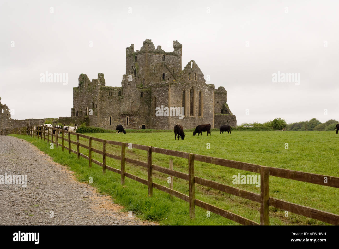 Dunbrody Abbey Dumbrody Grafschaft Wexford Ireland Stockfoto