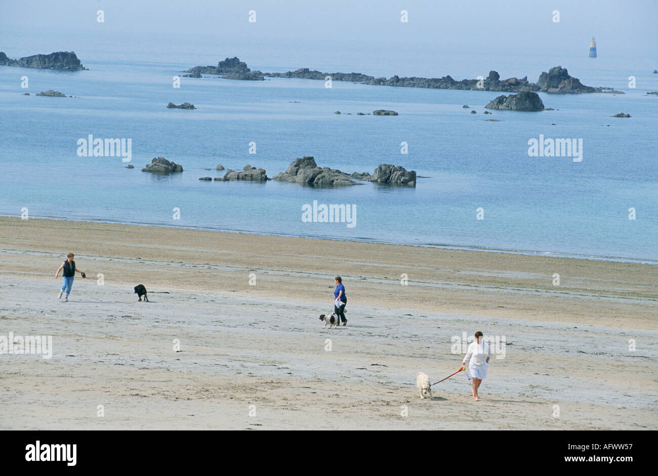 WANDERN MIT DEM HUND AM STRAND IN ST HELIER JERSEY 2000S HOMER SYKES Stockfoto