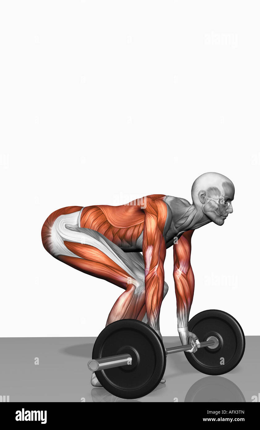 Rumänische Kreuzheben (Teil 1 von 2) Stockfoto