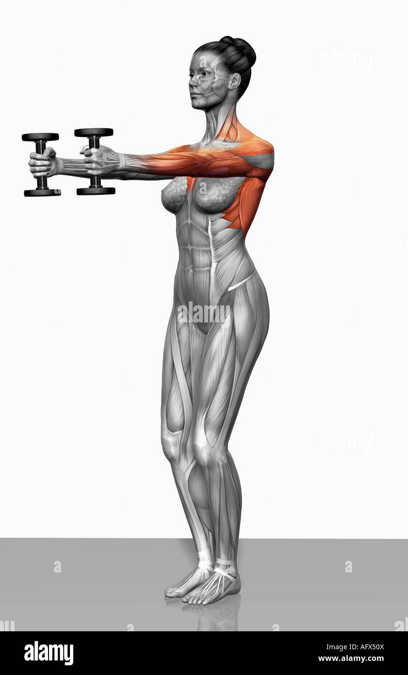 Übung nach vorne zu erhöhen Stockfoto