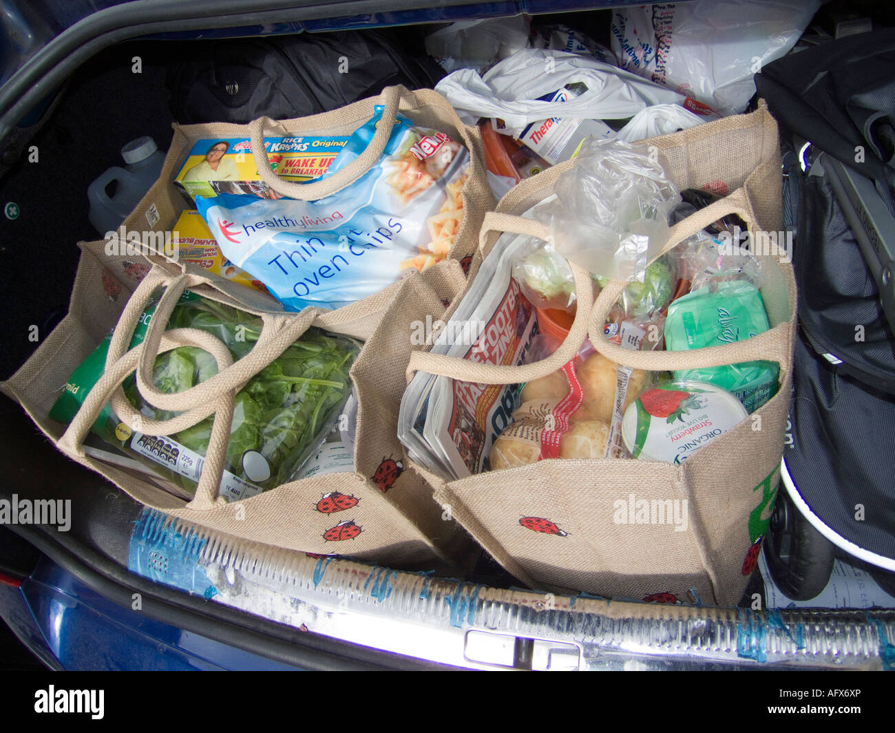 Ein Boot Last des Einkaufens in grünen wiederverwendbaren Taschen Stockfoto