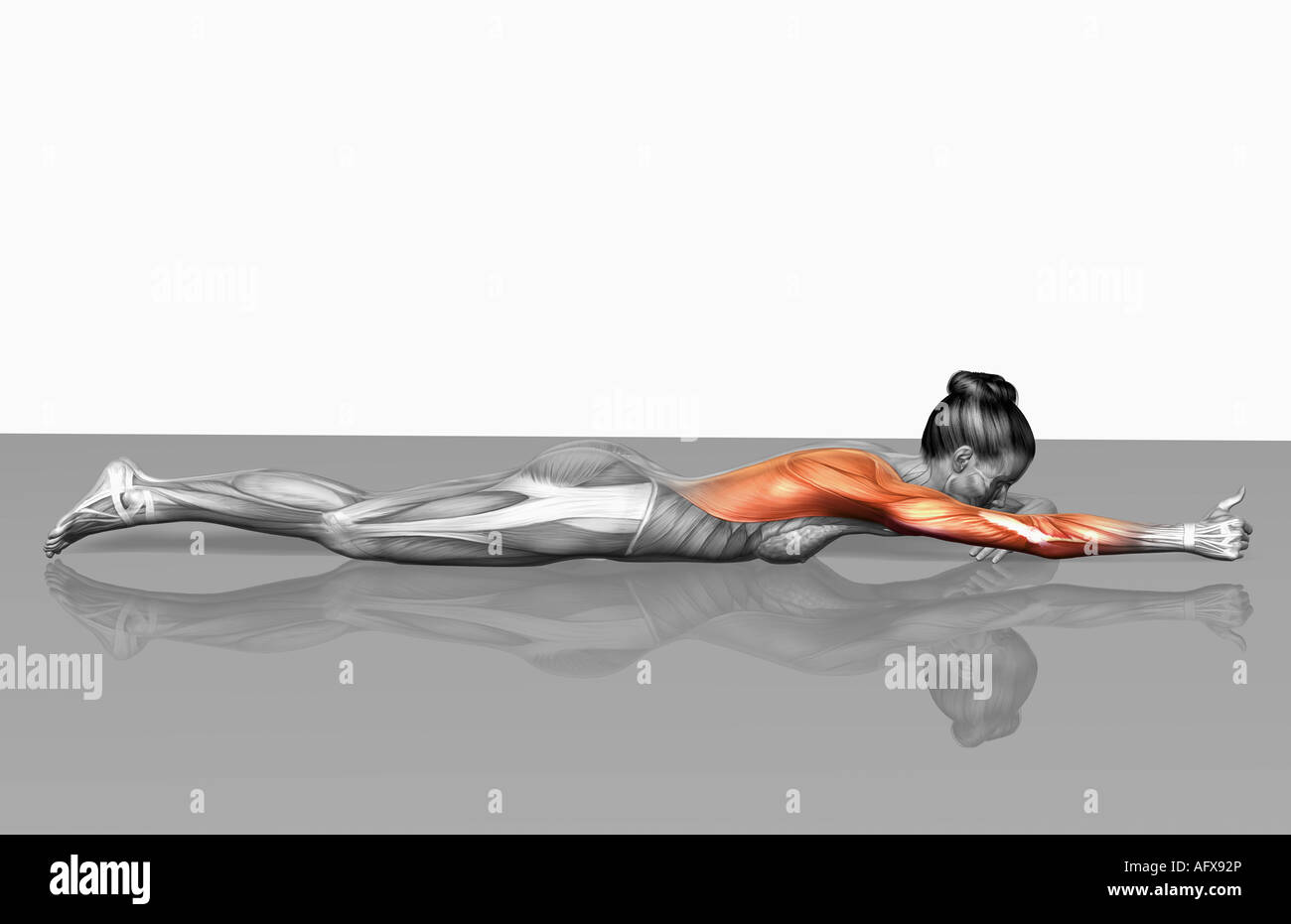 Arm-Beinstrecken (Teil2 von 2) Stockfoto