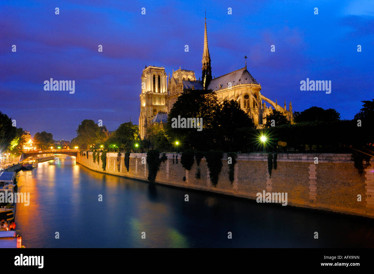 Notre Dame de Paris bei Nacht la nuit Stockfoto