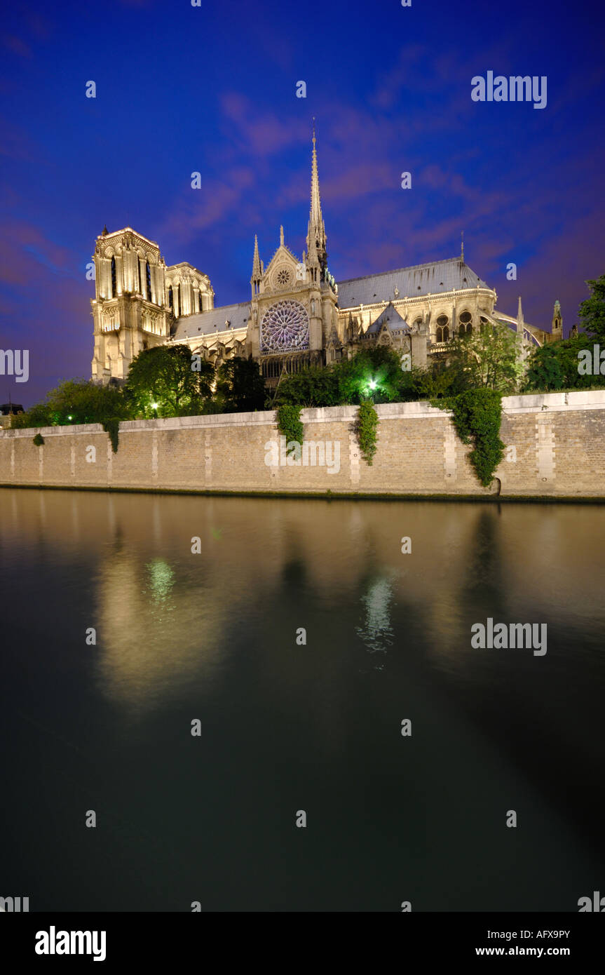 Notre Dame de Paris bei Nacht mit Spiegelbild im Seine Notre Dame de Paris la Nuit Avec Réflexion Dans la Seine Stockfoto